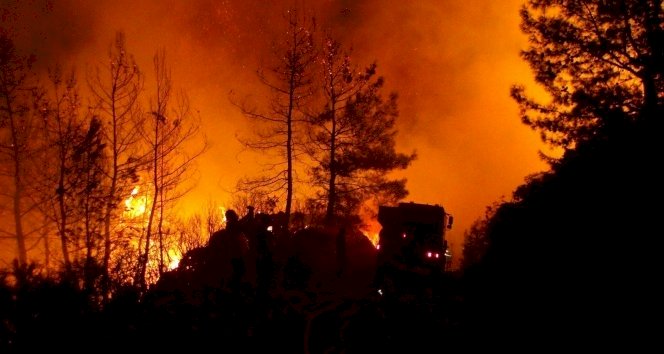 Manavgat'taki orman yangını kontrol altına alındı
