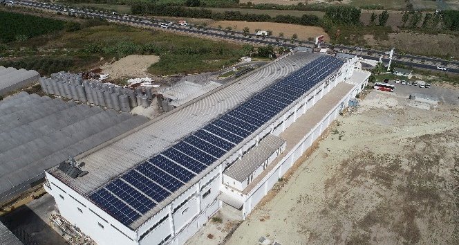Enerjisini güneşten alan dev fabrika, yıllık 500 bin TL'lik tasarruf sağlıyor